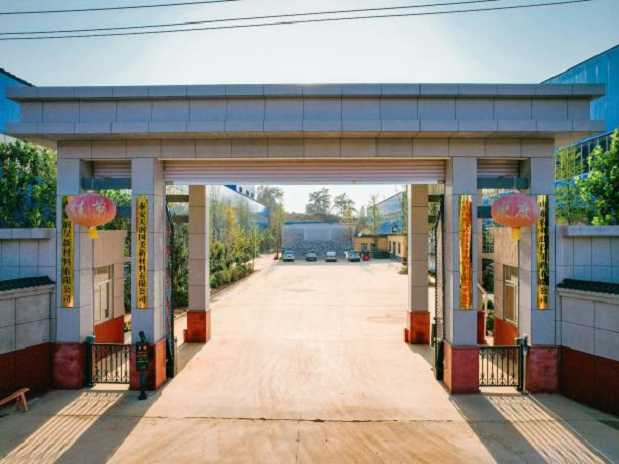product-619-464